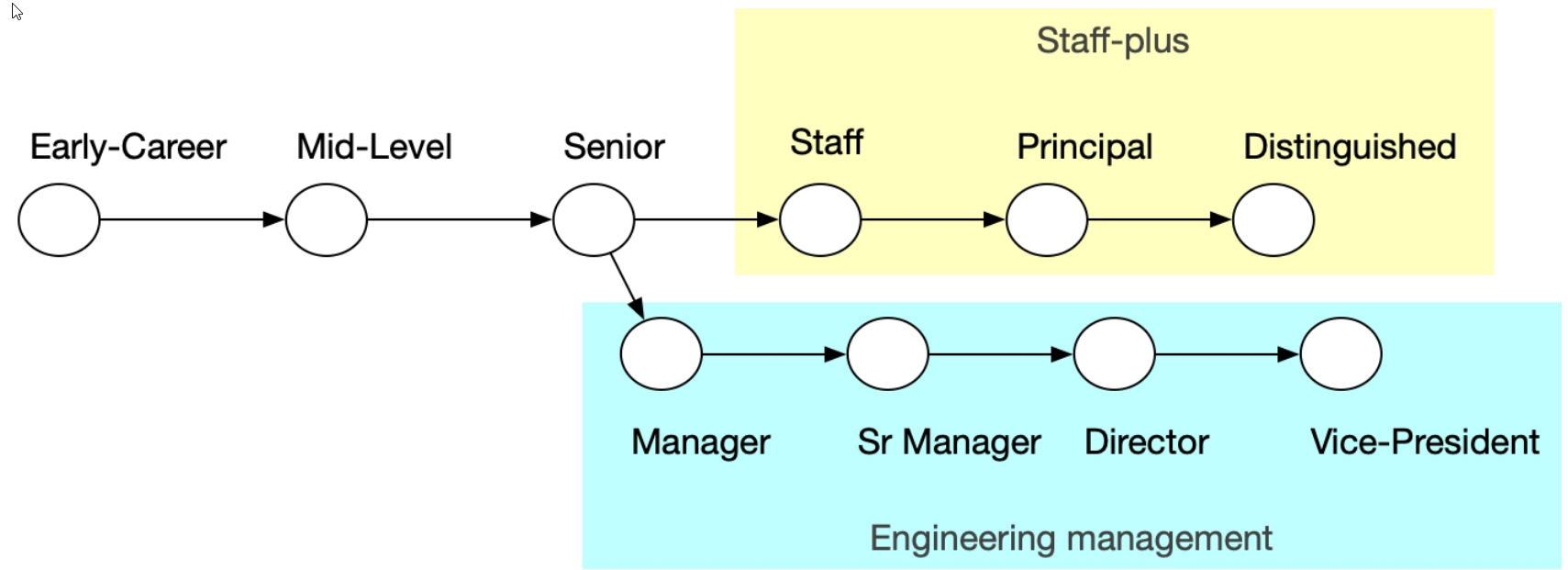 dual career track